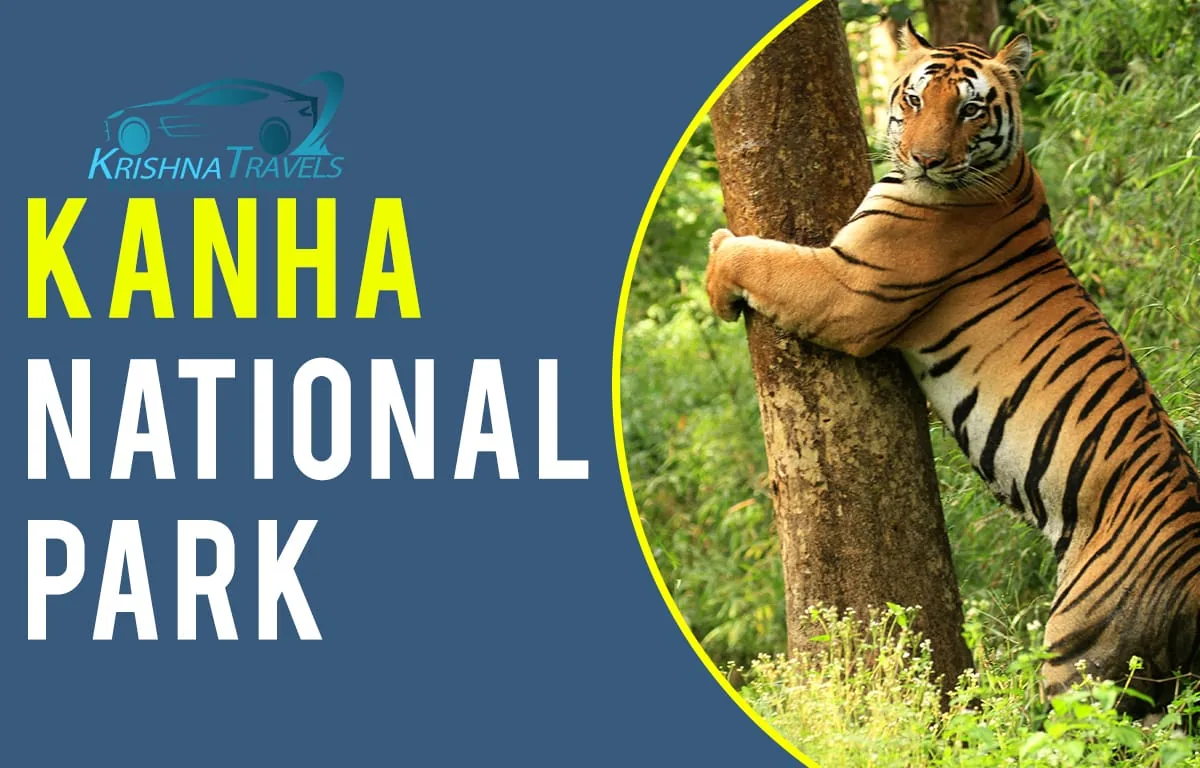 Bhopal to Kanha National Park Taxi Service by Krishna Travels